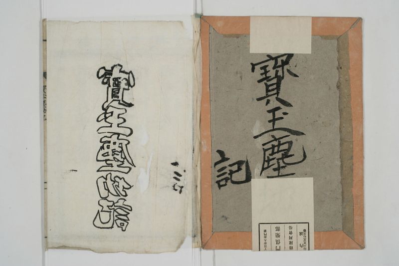 宝玉塵劫記 - ページ 2