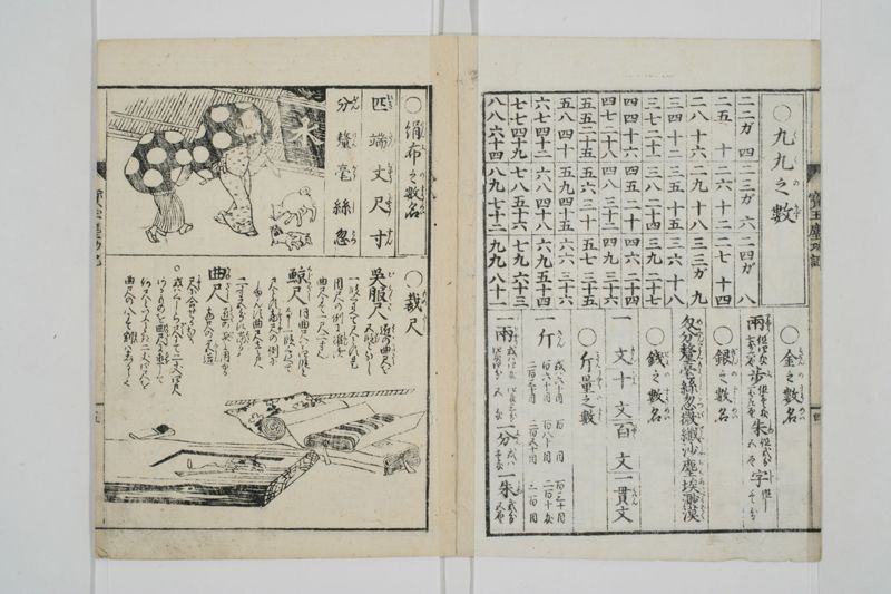 宝玉塵劫記 - ページ 8