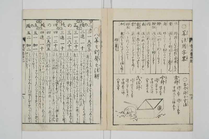 宝玉塵劫記 - ページ 9