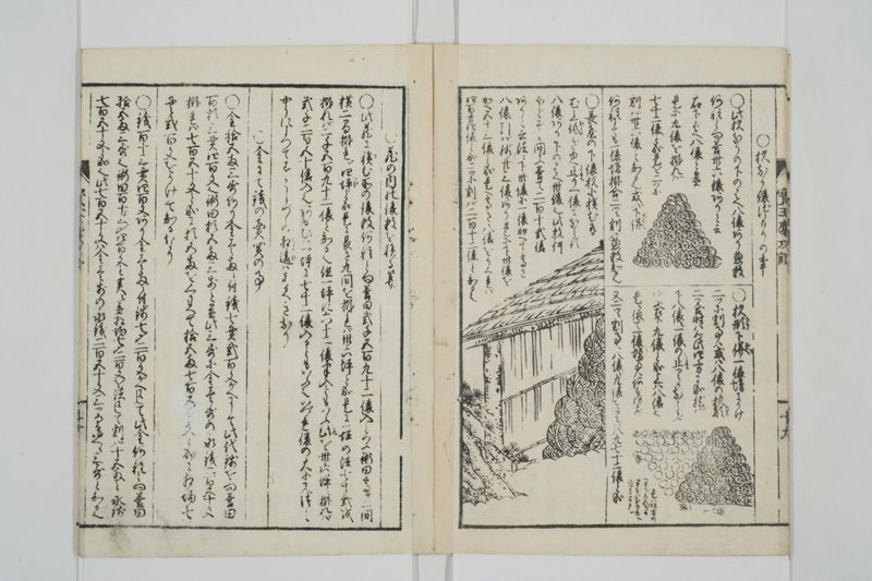 宝玉塵劫記 - ページ 23