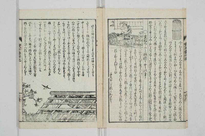 宝玉塵劫記 - ページ 33