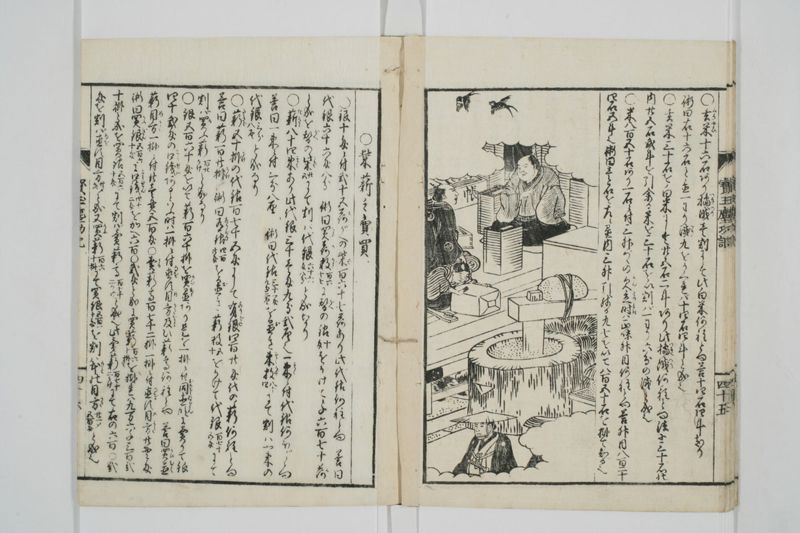 宝玉塵劫記 - ページ 49