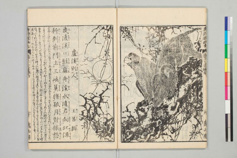 唐詩選画本, [二編]5巻 - ページ 53