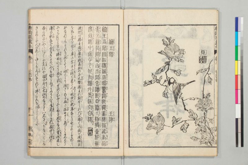 唐詩選画本, [五編]5巻 - ページ 41